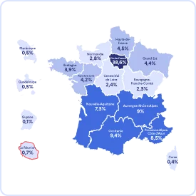 Infographie des salariés intermittents du spectacle sur l'île de La Réunion en 2024